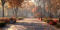 Autumn Pathway Sunlit Fall Foliage Scene Royalty Free Stock Photo