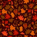 Autumn Pattern with acorns. Seamless with fall leaves in red, brown, yellow color. Forest seasonal print with natural Royalty Free Stock Photo