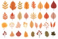 Autumn pattern art nature background set leaf Royalty Free Stock Photo