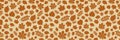 Autumn pattern with leaves. Wrapping paper concept. Panoramic header. Vector