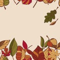 Autumn pattern. Pattern of autumn leaves. Red, yellow and green leaves of forest trees. Seamless Border. Use as a background of t Royalty Free Stock Photo