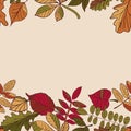 Autumn pattern. Pattern of autumn leaves. Red, yellow and green leaves of forest trees. Seamless Border. Use as a background of t Royalty Free Stock Photo