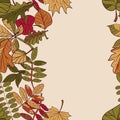 Autumn pattern. Pattern of autumn leaves. Red, yellow and green leaves of forest trees. Seamless Border. Use as a background of t Royalty Free Stock Photo