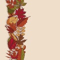 Autumn pattern. Pattern of autumn leaves. Red, yellow and green leaves of forest trees. Seamless Border. Use as a background of t Royalty Free Stock Photo