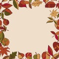 Autumn pattern. Pattern of autumn leaves. Red, yellow and green leaves of forest trees. Seamless frame. Use as a background of t Royalty Free Stock Photo