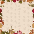 Autumn pattern. Pattern of autumn leaves. Red, yellow and green leaves of forest trees. Seamless frame. Use as a background of t Royalty Free Stock Photo