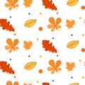 Autumn pattern set on white background Royalty Free Stock Photo