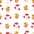 Autumn pattern with watercolor amanita mushrooms and chanterelles. Cute seamless pattern with mushrooms.
