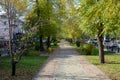 Autumn, pedestrian alley sidewalk with benches, in the city, not far from the road. Russia