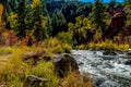 Autumn Perfection in Colorado