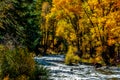 Autumn Perfection in Colorado