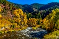 Autumn Perfection in Colorado