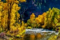 Autumn Perfection in Colorado