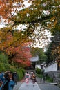 Autumn period at Kenninji Royalty Free Stock Photo