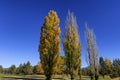 Autumn at Peter Skene Ogden Park in eastern Oregon, USA Royalty Free Stock Photo