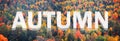 Autumn photo banner with Foliage background
