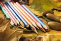 Autumn photo. Pencils, acorns and leaves of maple and oak. Royalty Free Stock Photo