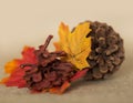 Thanksgiving Fall Leaves, Pinecone, burlap