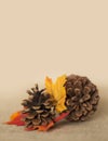 Thanksgiving Fall Leaves, Pinecone, burlap
