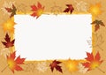 Autumn photoframework. Royalty Free Stock Photo