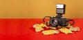 Autumn photography theme banner with vintage camera and yellow leaves