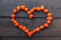 Autumn physalis exotic fruits background, orange heart