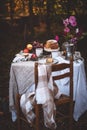 Autumn Picnic with Cake, Tea, Fruits in Garden Royalty Free Stock Photo
