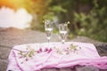 Autumn picnic. Champagne with wildflowers on the stove. Photo picnic on the nature with sunlight. Celebrating life and Royalty Free Stock Photo