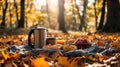 Autumn picnic in the forest with coffee, pastries, and fruit on a blanket Royalty Free Stock Photo