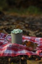 autumn picnic. a mug with a hot drink and light mint marshmallows stands on a red mat Royalty Free Stock Photo