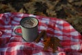 autumn picnic. a mug with a hot drink and light mint marshmallows stands on a red mat Royalty Free Stock Photo