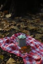 autumn picnic. a mug with a hot drink and light mint marshmallows stands on a red mat Royalty Free Stock Photo