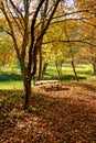 Autumn picnic in the nature