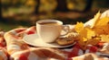 Autumn picnic in the park. Cup of coffee, apple and cookies on picnic plaid on nature yellow leaves. Active lifestyle concept Royalty Free Stock Photo