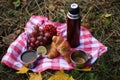 autumn picnic. on a red picnic mat there is a red thermos, two tin mugs with tea, grapes, red healthy viburnum, lemon Royalty Free Stock Photo