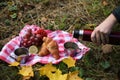 autumn picnic. on a red picnic mat there is a red thermos, two tin mugs with tea, grapes, red healthy viburnum, lemon Royalty Free Stock Photo