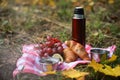 autumn picnic. on a red picnic mat there is a red thermos, two tin mugs with tea, grapes, red healthy viburnum, lemon Royalty Free Stock Photo