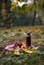 autumn picnic. on a red picnic mat there is a red thermos, two tin mugs with tea, grapes, red healthy viburnum, lemon Royalty Free Stock Photo