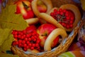 Autumn picnic: Rowan, cracker, apples, pumpkin in a basket on a blanket