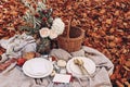 Autumn picnic, wedding table setting. Garden party celebration in sunshine. Porcelain plate, muslin throw blanket, white