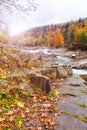 Autumn picture. River rocks with falling yellow leaves. Mountain stream.