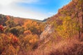 Autumn picturesque landscape with colorful forrest