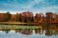 Autumn picturesque park landscape.