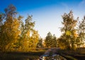 Autumn picturesque place. The setting sun paints the trees Golden in Color. The road leads travelers into the distance Royalty Free Stock Photo