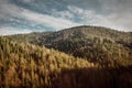 Autumn Pine trees and hills landscape in Poland. Royalty Free Stock Photo