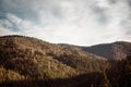 Autumn Pine trees and hills landscape in Poland. Royalty Free Stock Photo