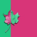 Autumn pink and green leaf on abstract background