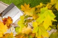 Autumn. Plaid, laptop, cup of coffee under branch of golden maple leaf on the green grass. Concept. Top view. Royalty Free Stock Photo