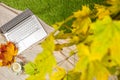 Autumn. Plaid, laptop, cup of coffee under branch of golden maple leaf on the green grass. Concept. Top view. Royalty Free Stock Photo