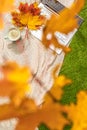 Autumn. Plaid, laptop, cup of coffee under branch of golden maple leaf on the green grass. Concept. Vertical ratio. Top view. Royalty Free Stock Photo